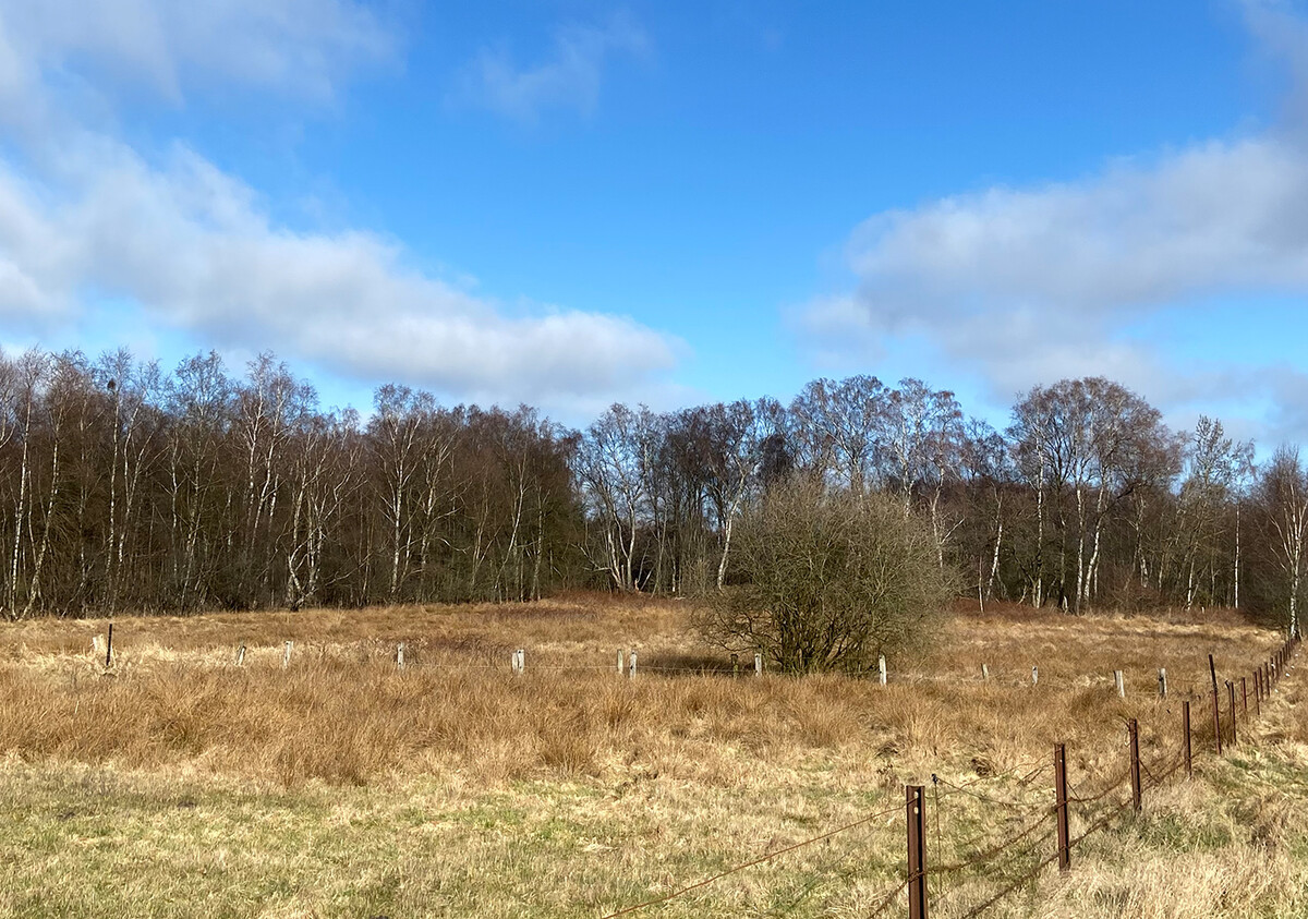 Restored land at Glasmoor in Norderstedt 